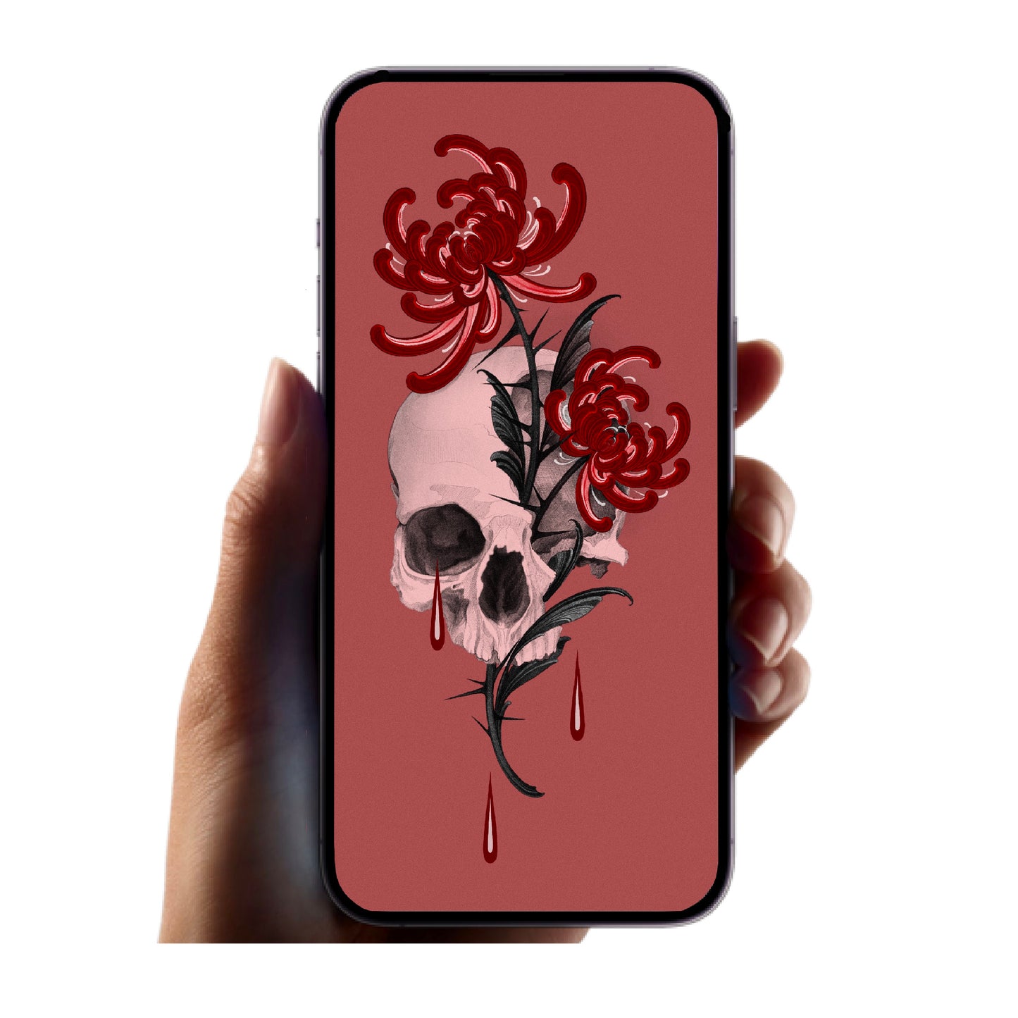 Fond d’écran gratuit !